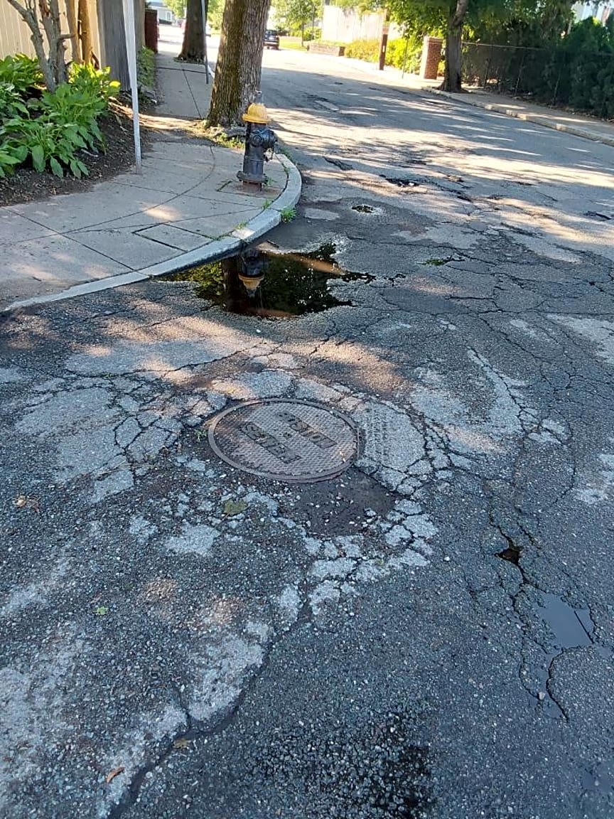 Image submitted with report