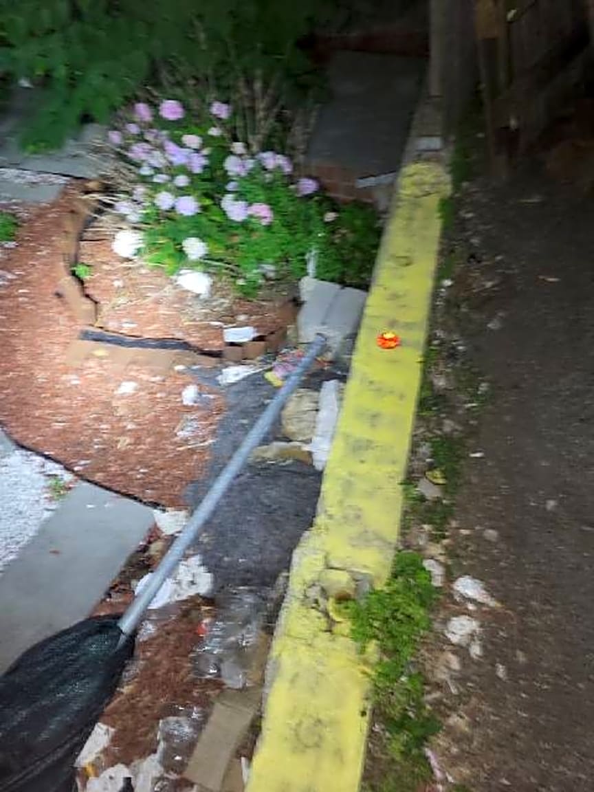 Image submitted with report