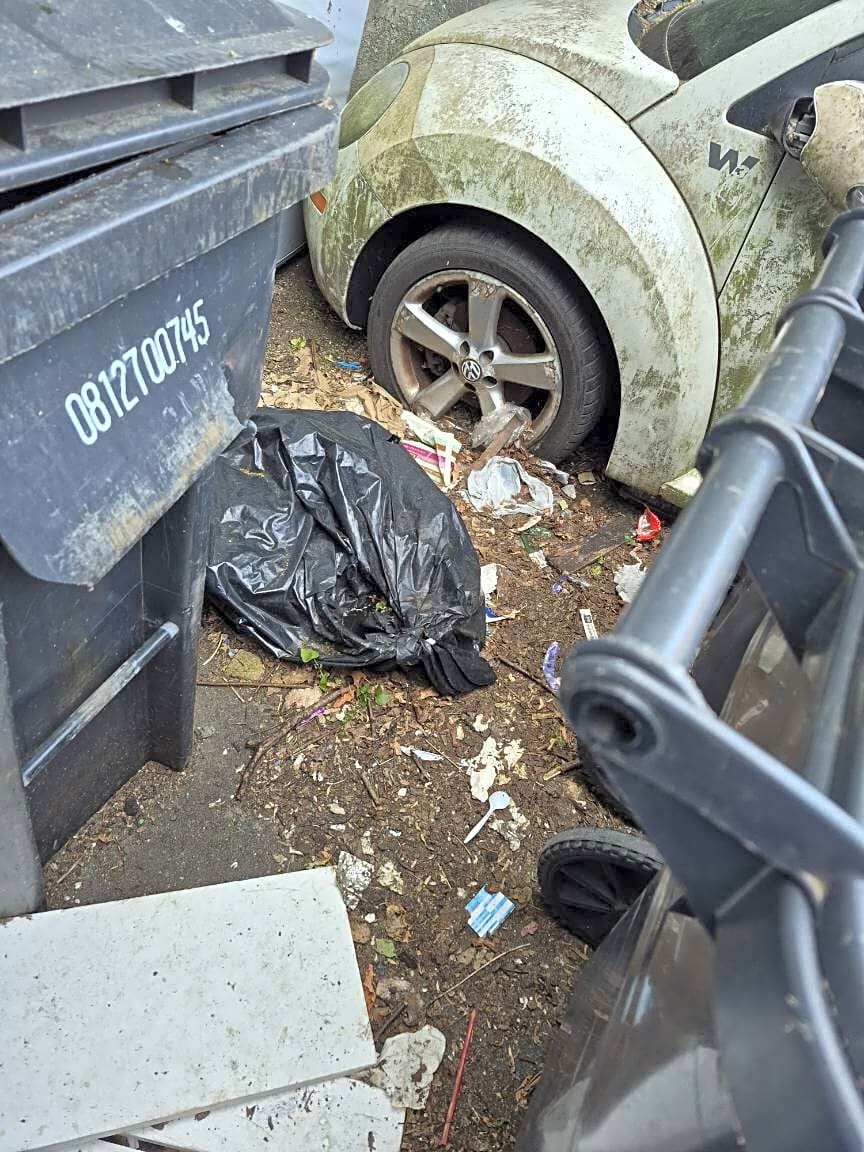 Image submitted with report