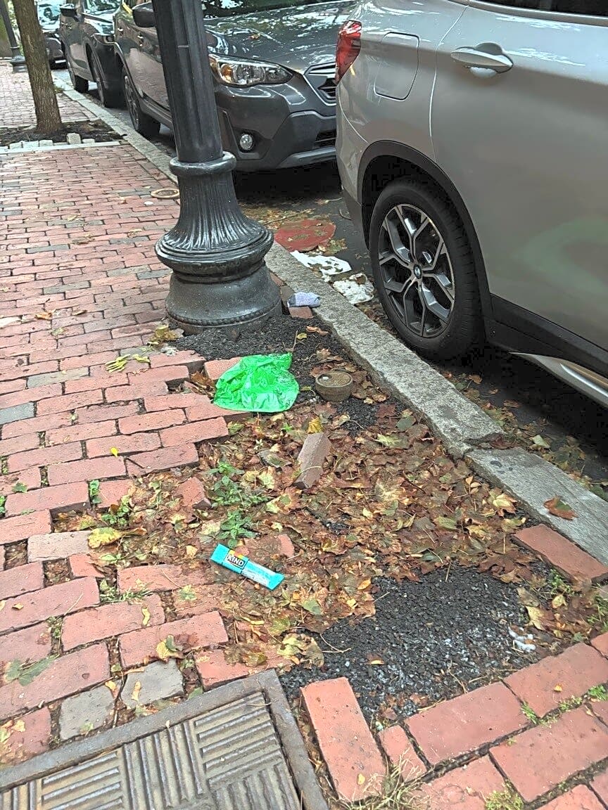 Image submitted with report