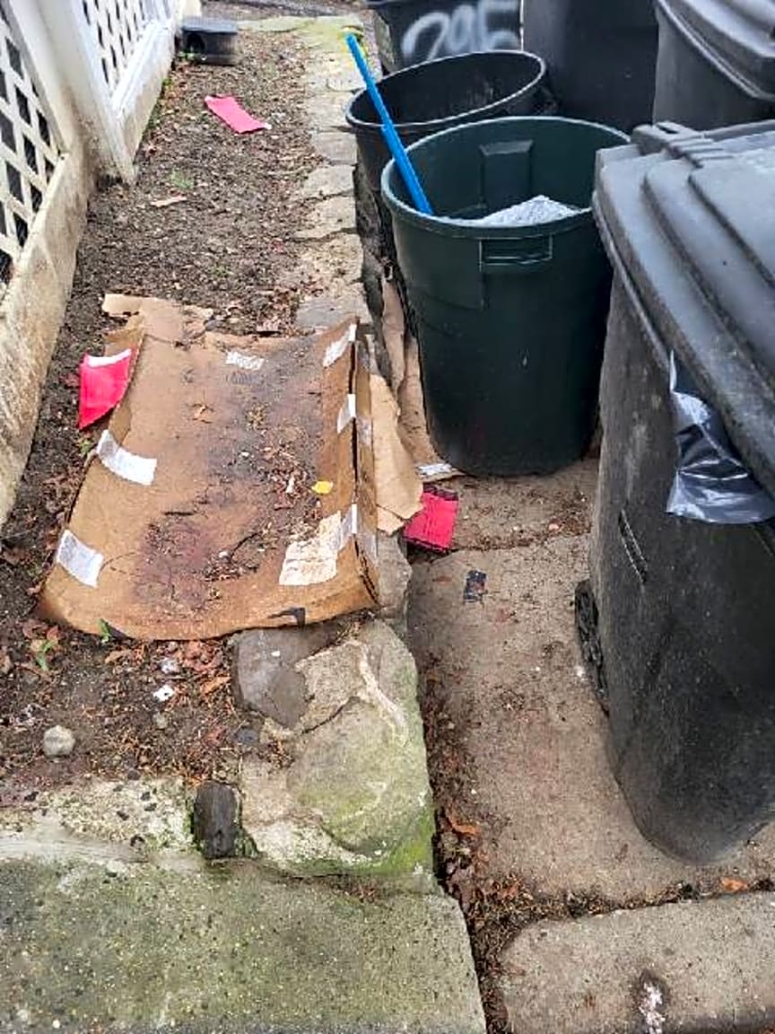 Image submitted with report