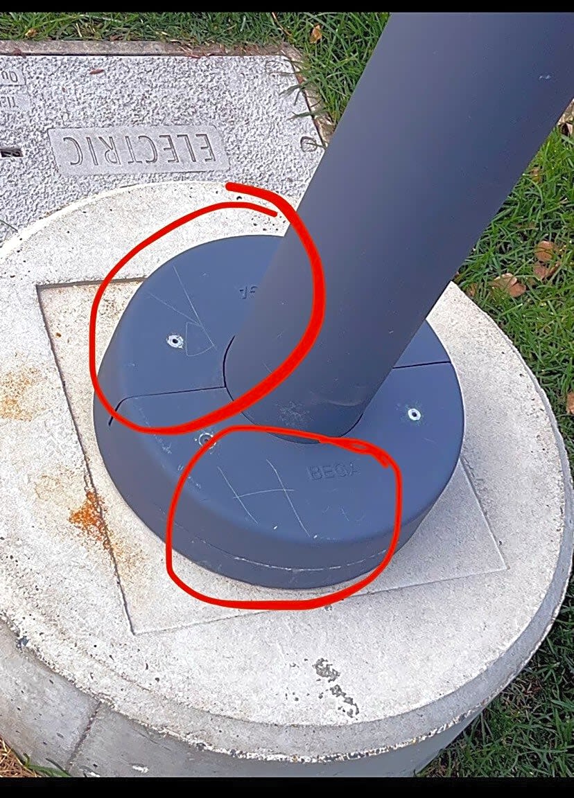 Image submitted with report