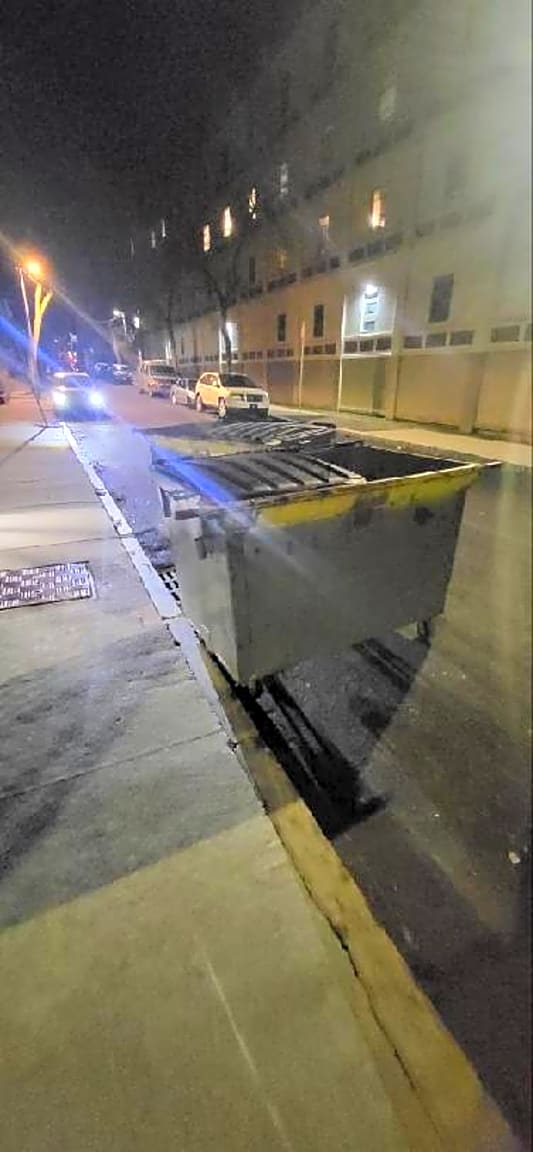 Image submitted with report