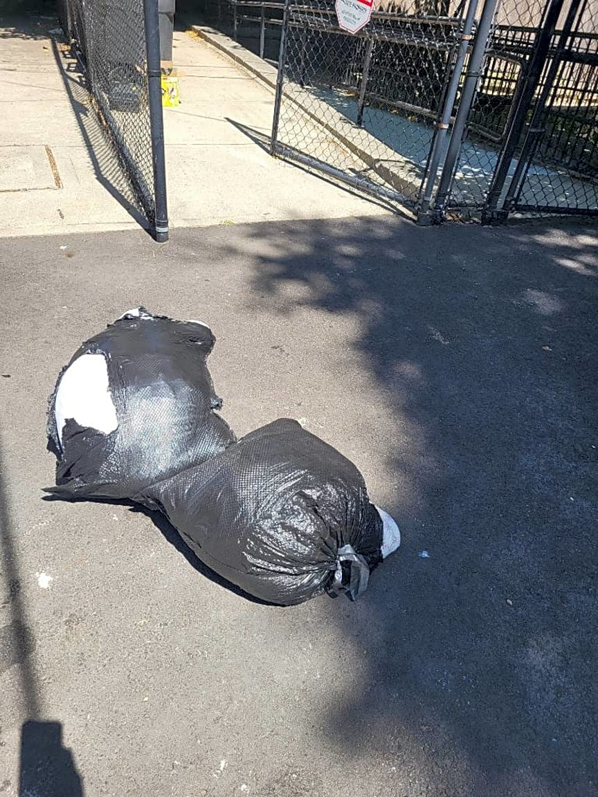 Image submitted with report