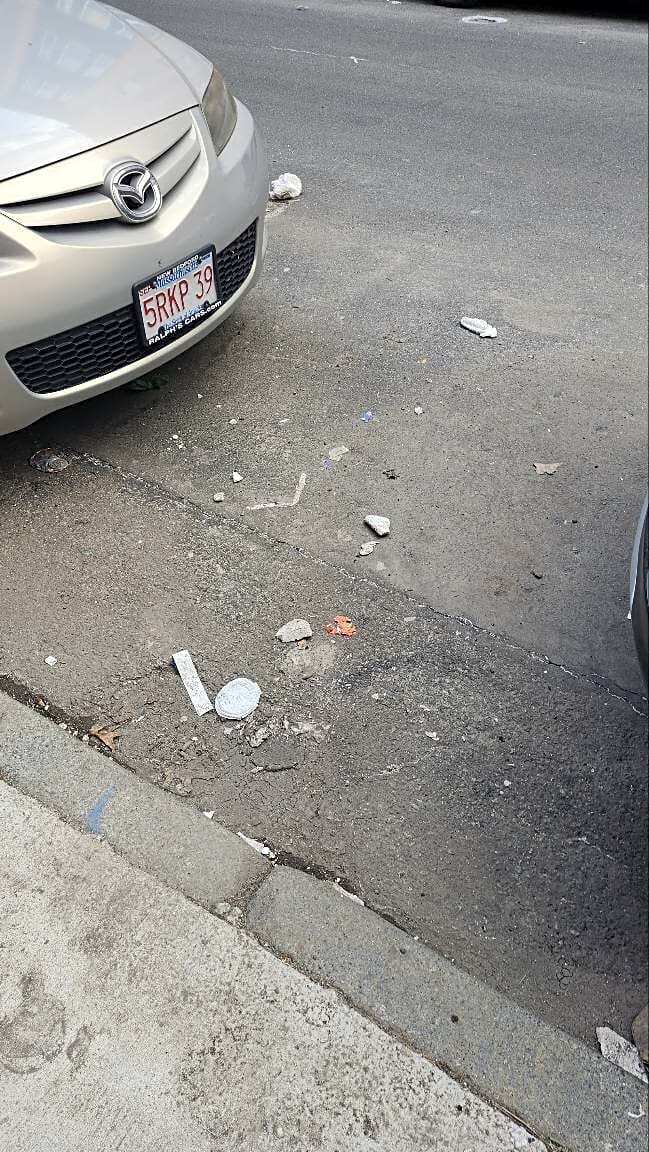 Image submitted with report