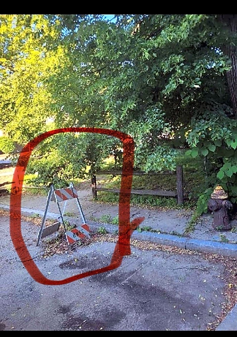 Image submitted with report