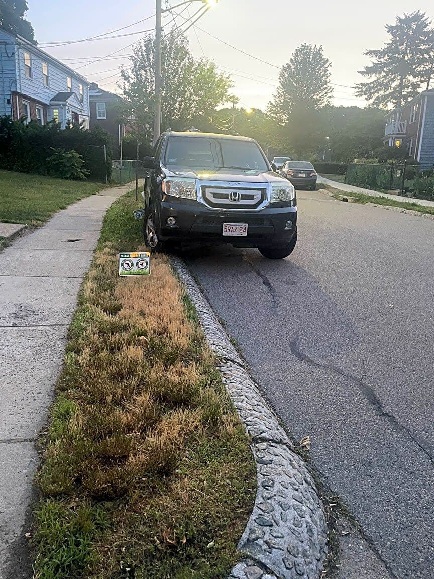 Image submitted with report