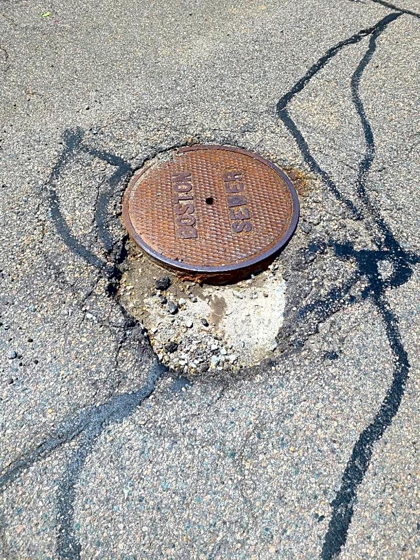 Image submitted with report