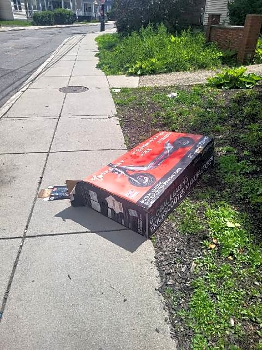Image submitted with report