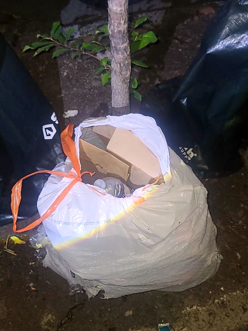 Image submitted with report