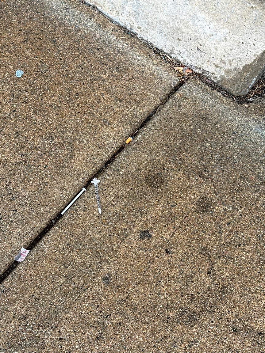 Image submitted with report