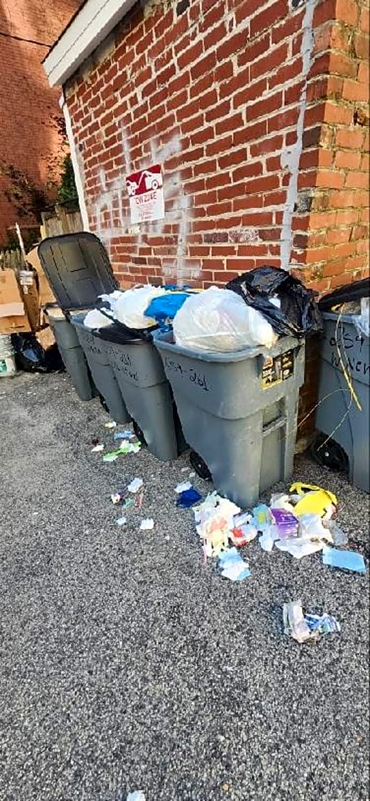 Image submitted with report