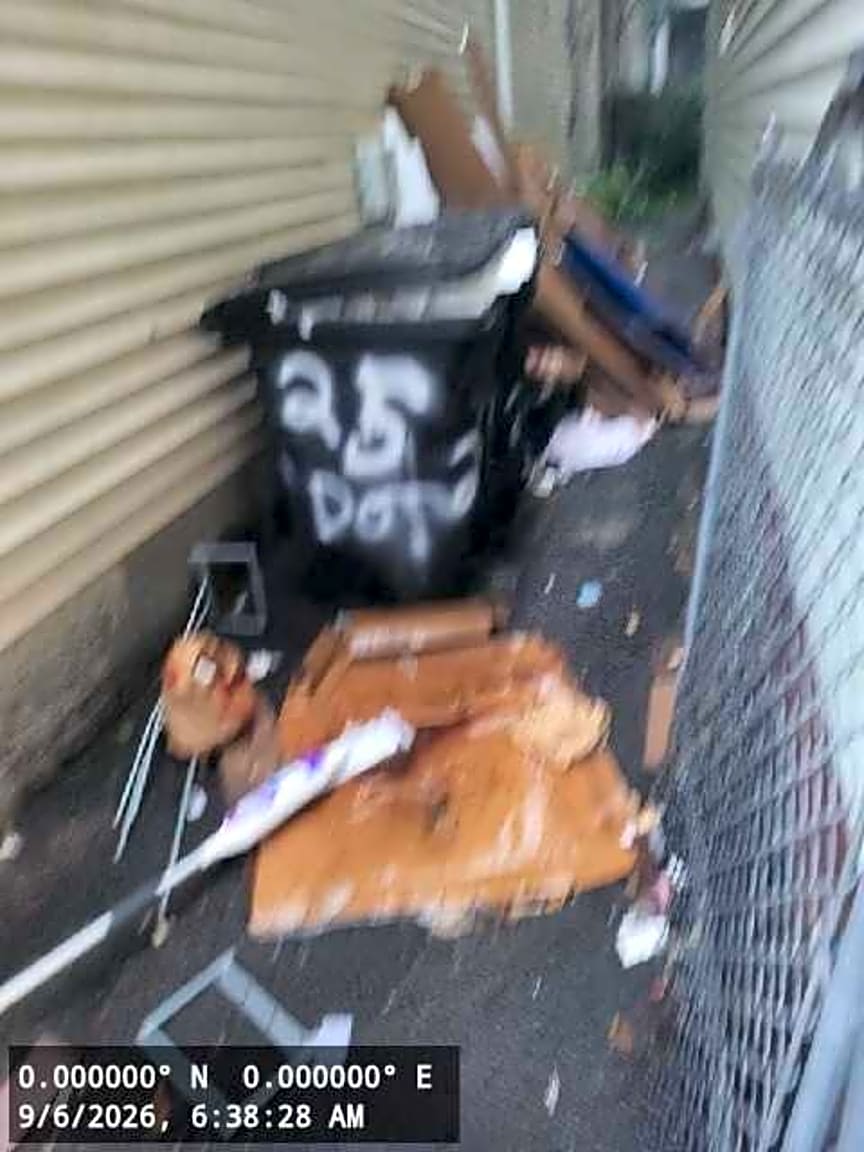 Image submitted with report