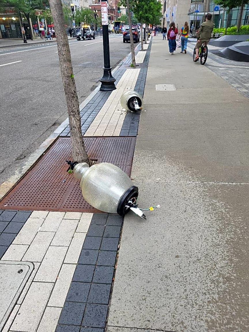 Image submitted with report