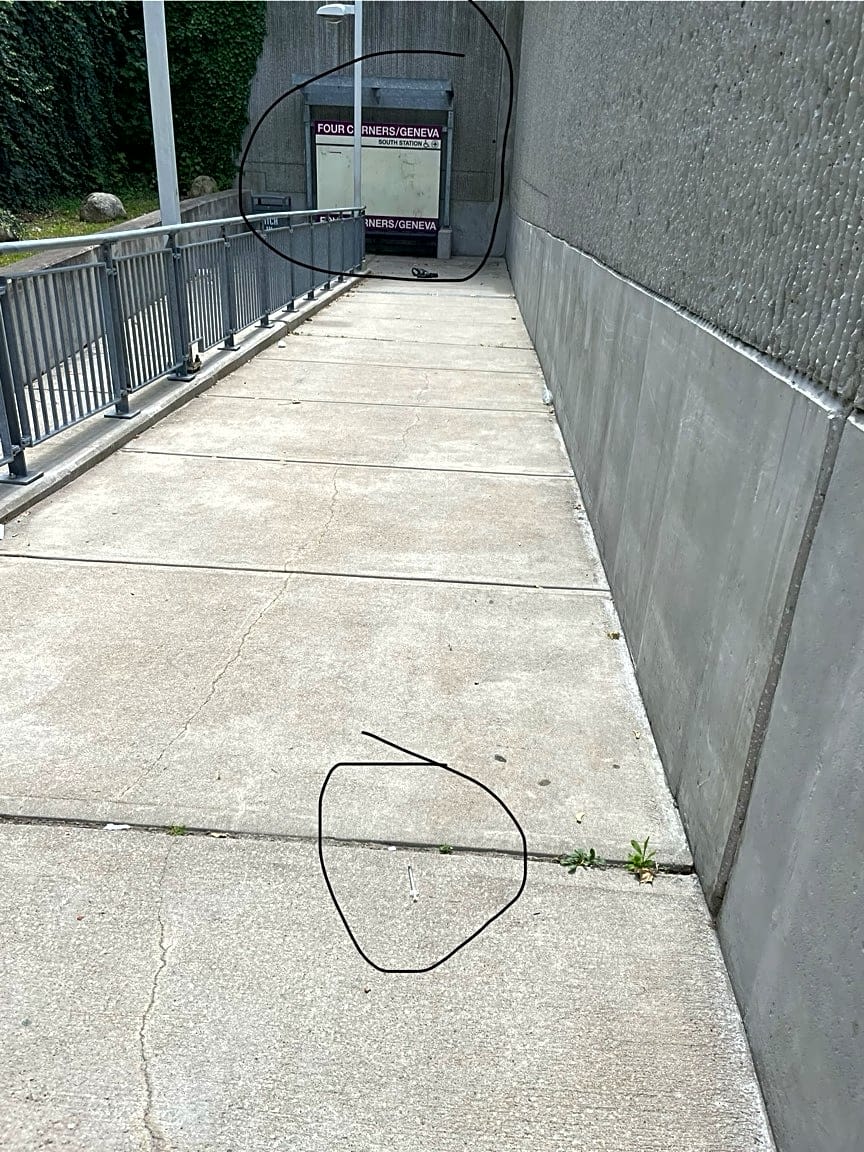 Image submitted with report