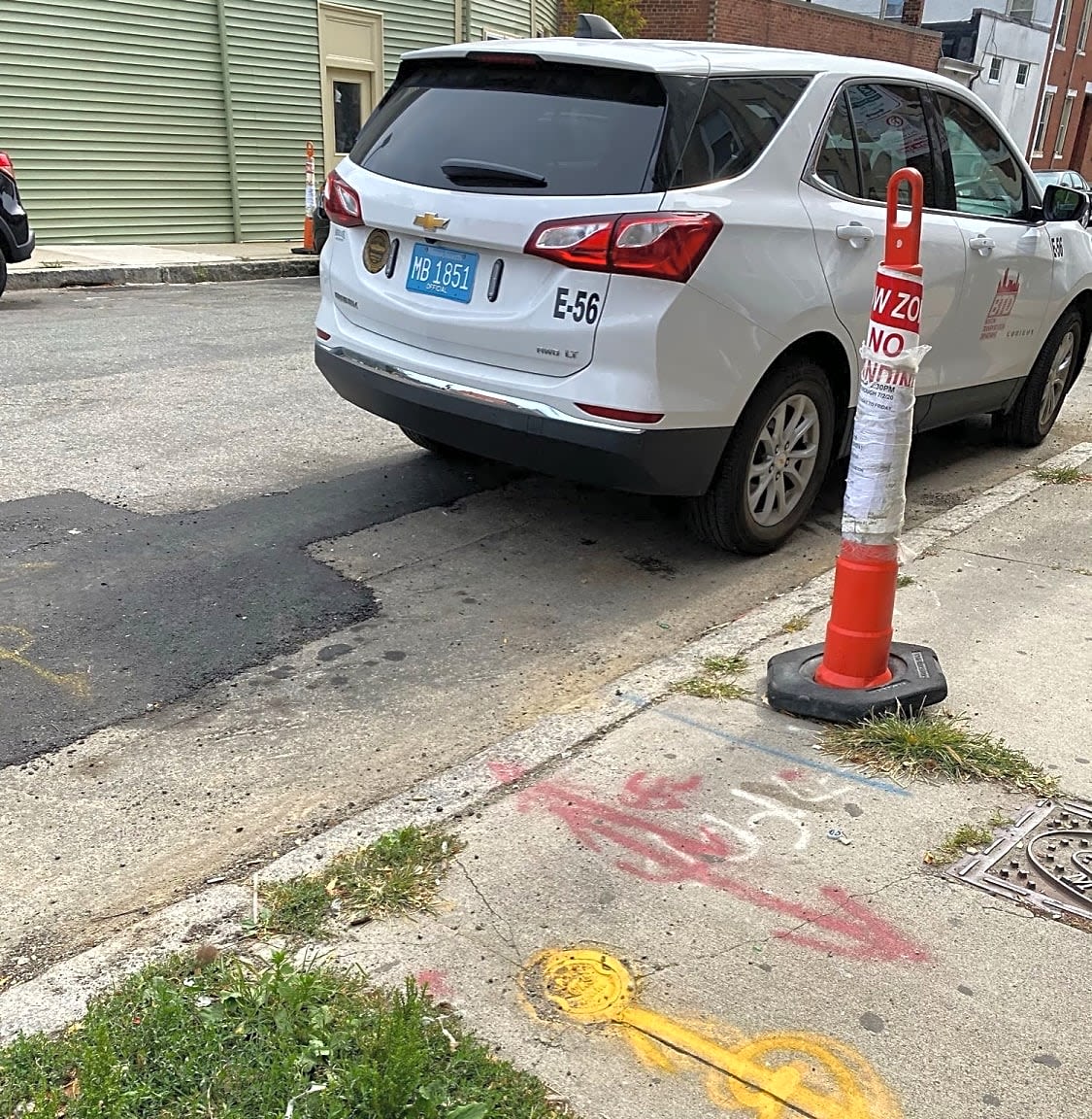 Image submitted with report