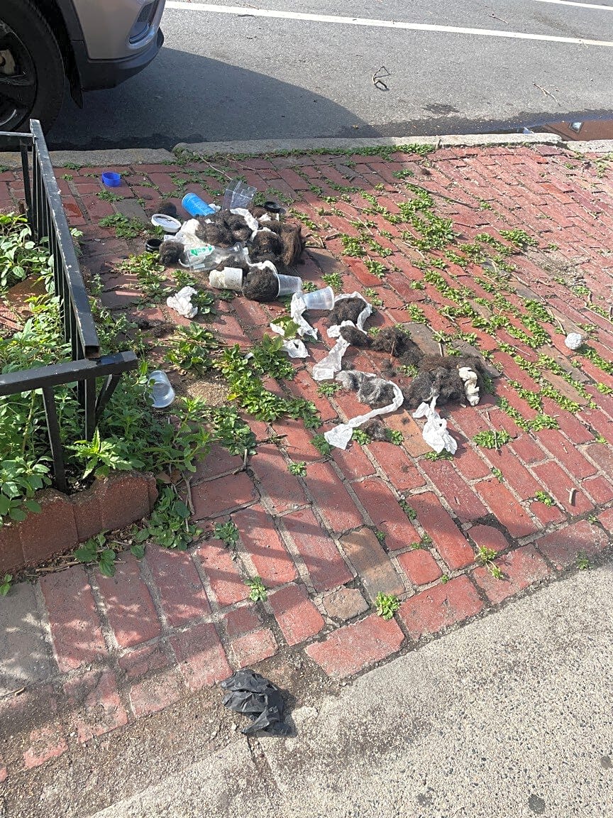 Image submitted with report