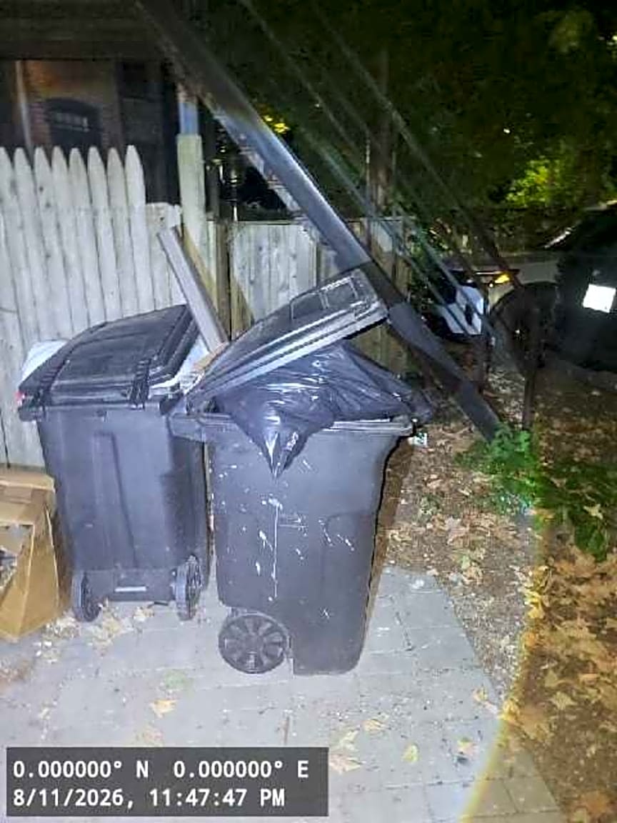 Image submitted with report