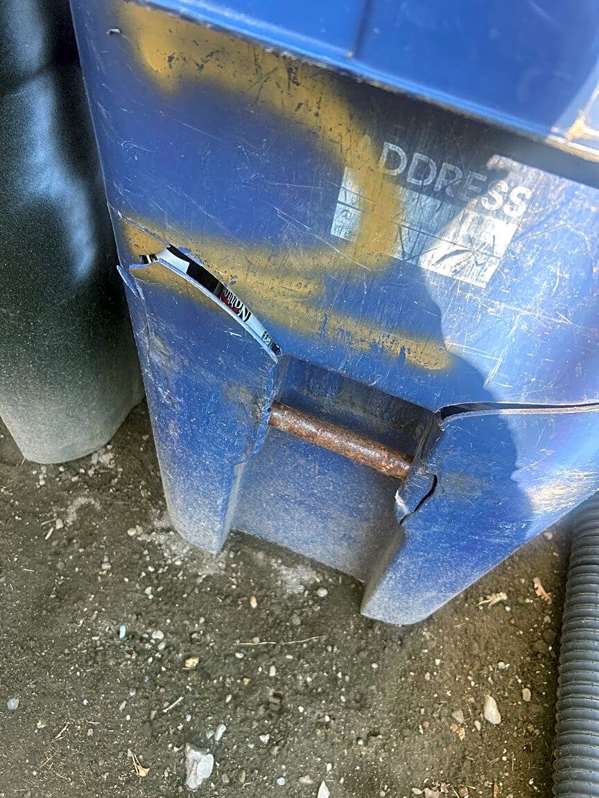 Image submitted with report