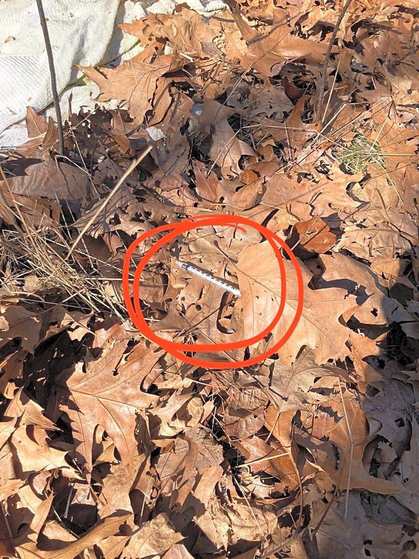 Image submitted with report