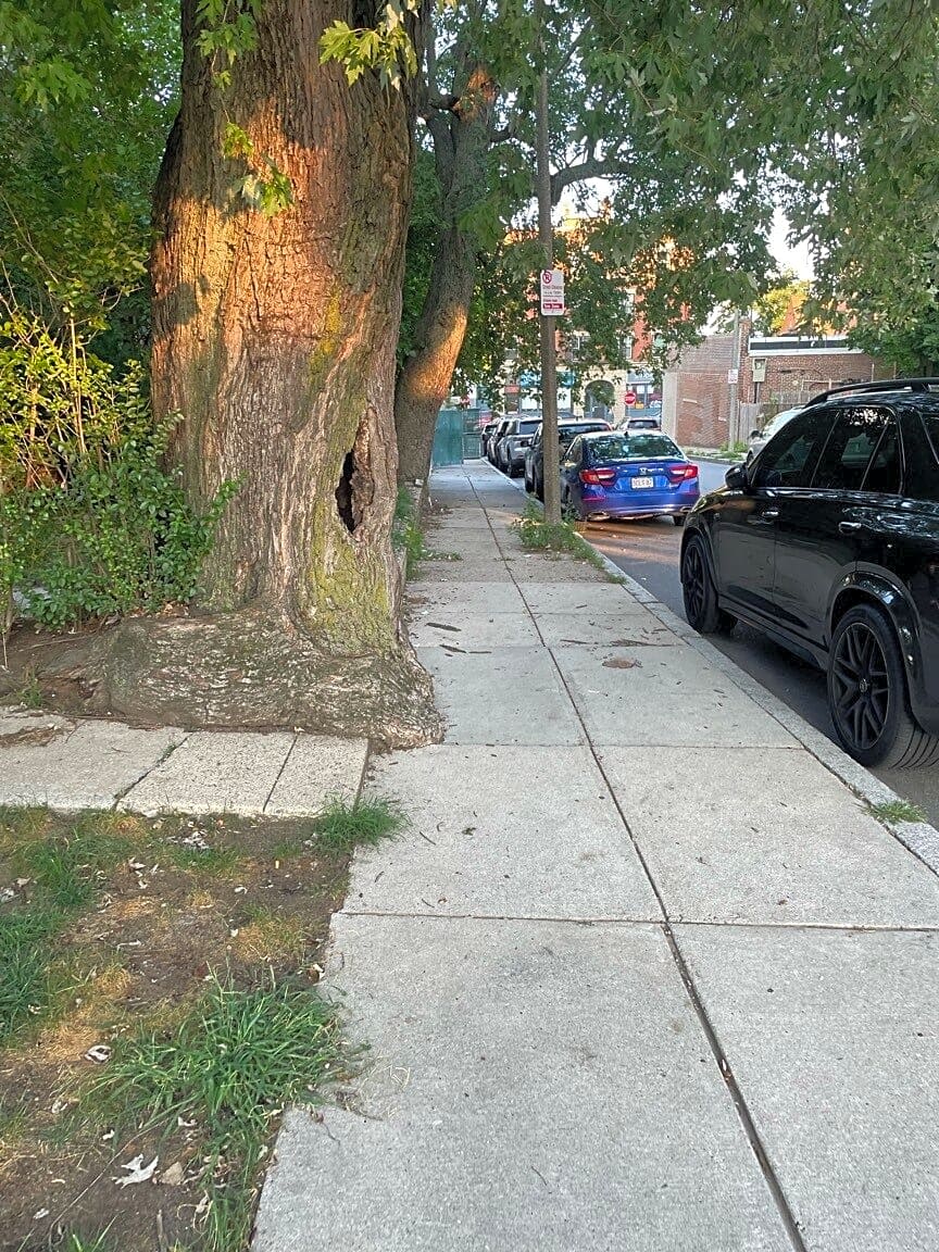 Image submitted with report