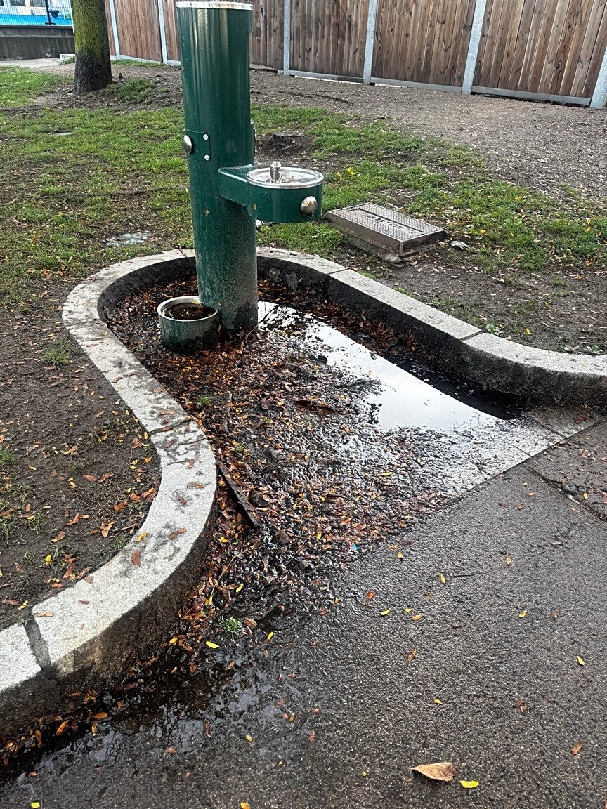 Image submitted with report