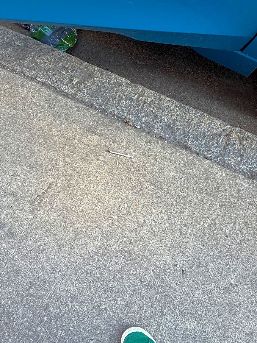 Image submitted with report