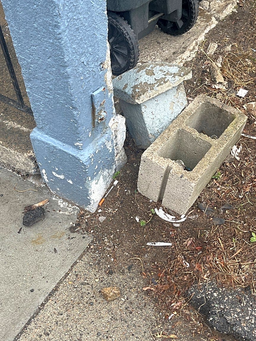 Image submitted with report