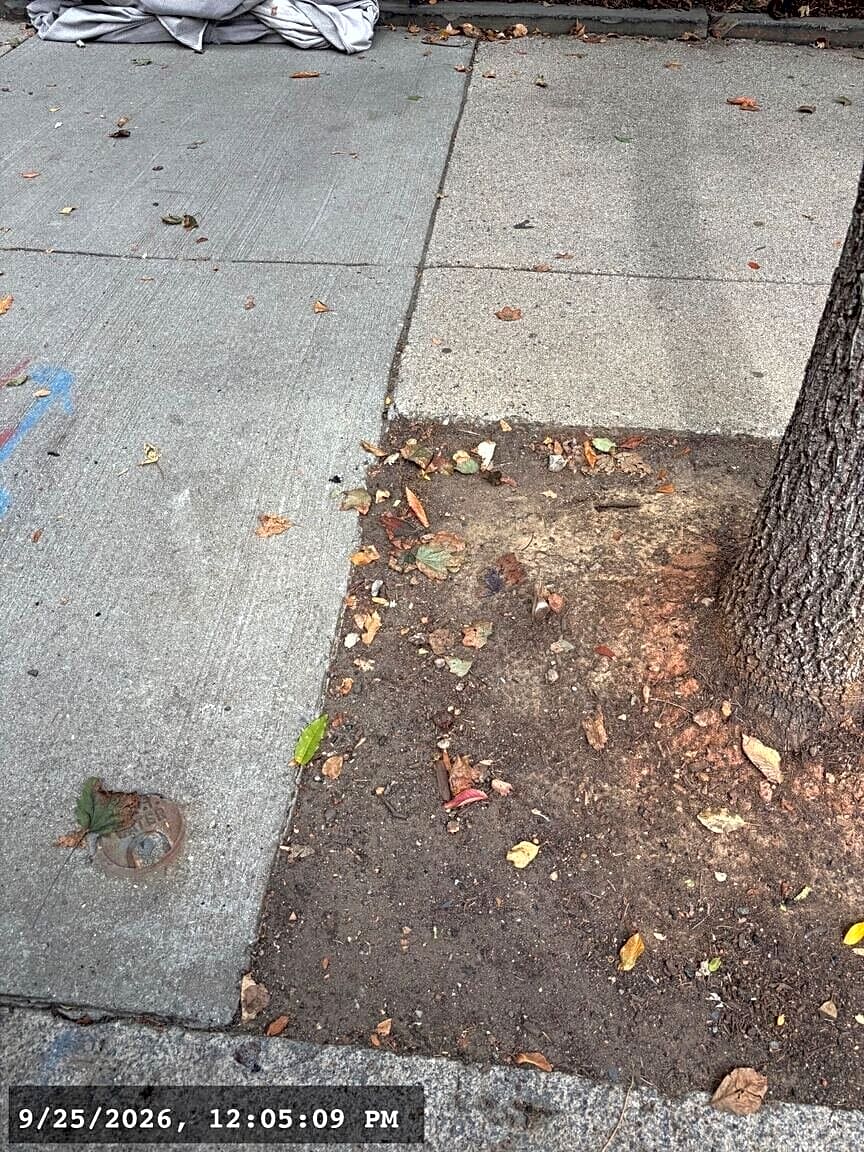 Image submitted with report