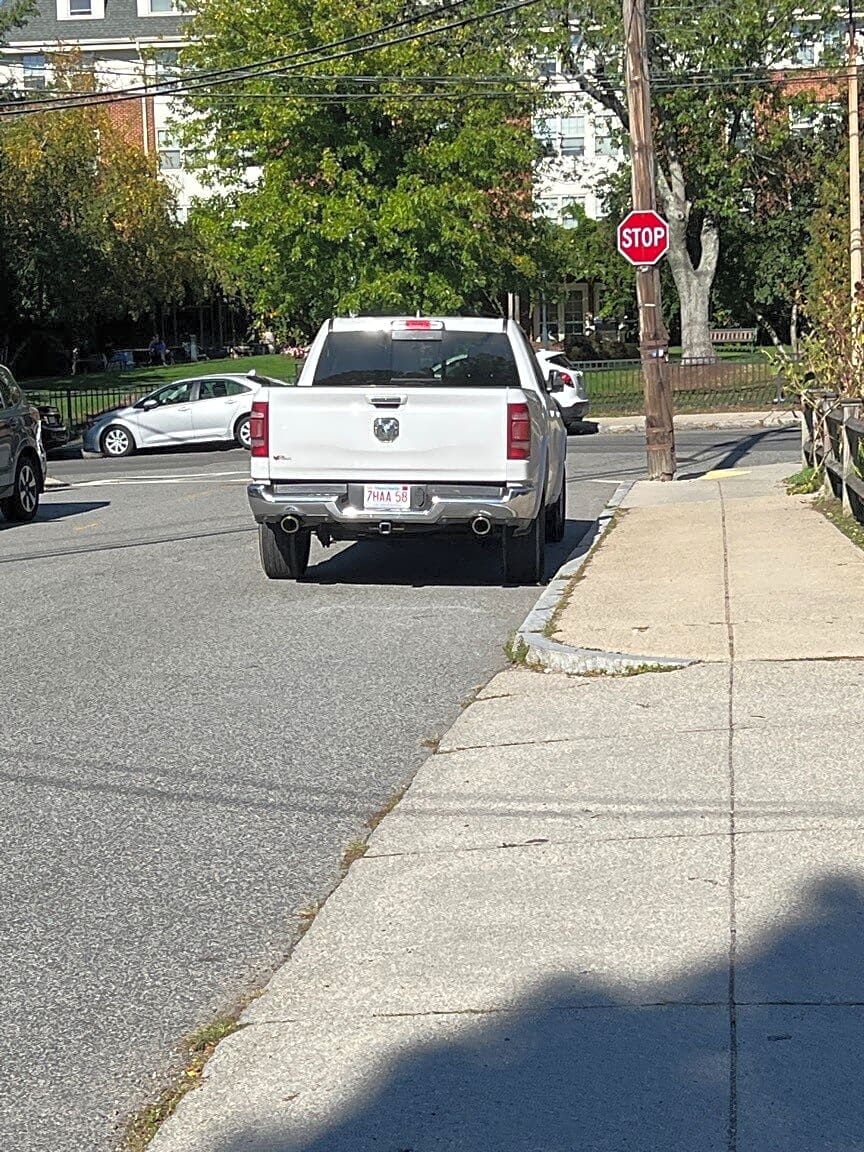 Image submitted with report