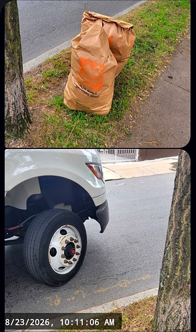 Image submitted with report
