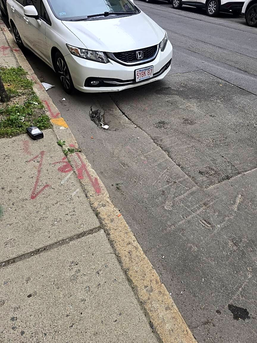 Image submitted with report