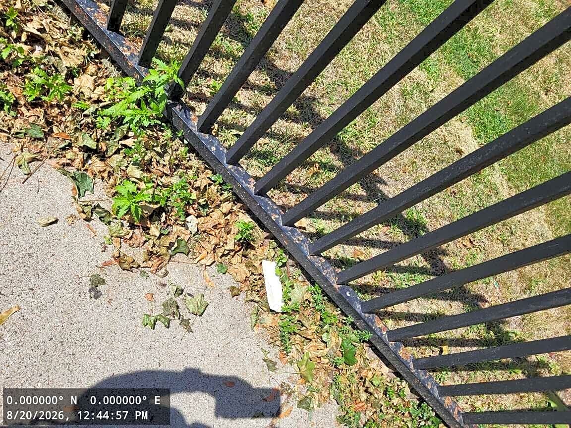 Image submitted with report