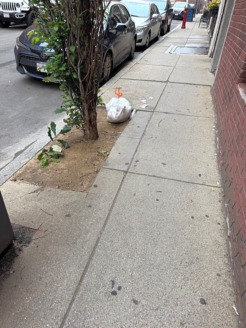 Image submitted with report