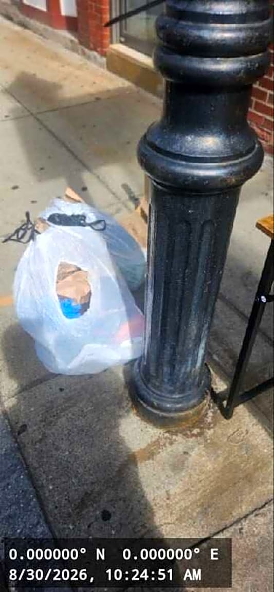 Image submitted with report