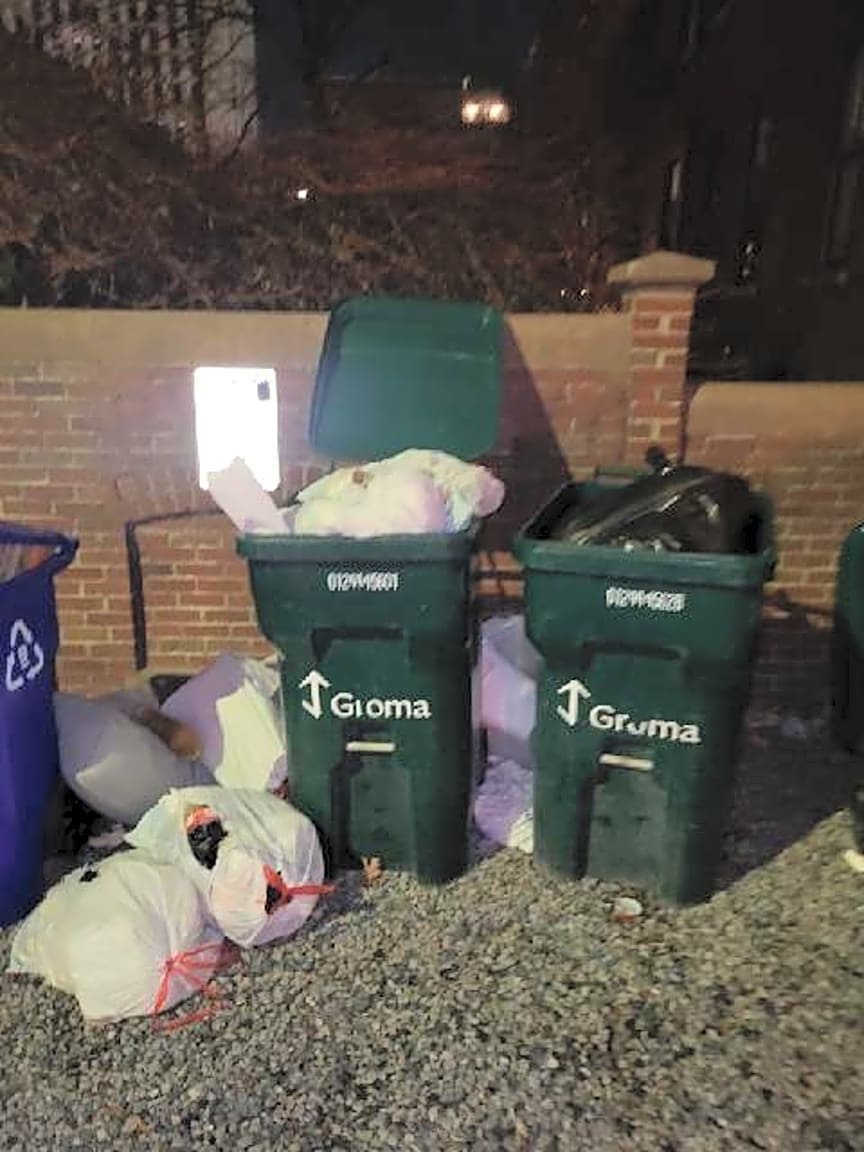 Image submitted with report