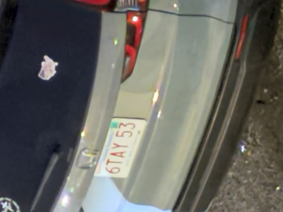 Image submitted with report