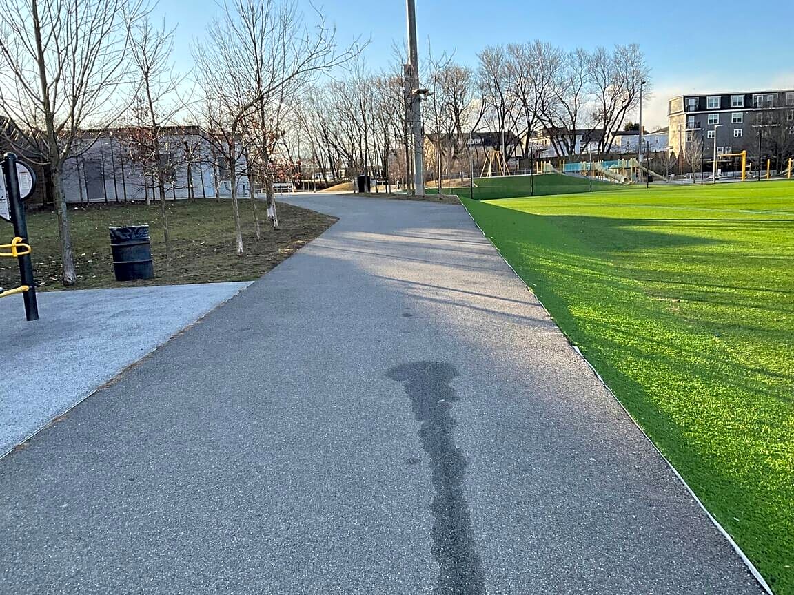 Image submitted with report