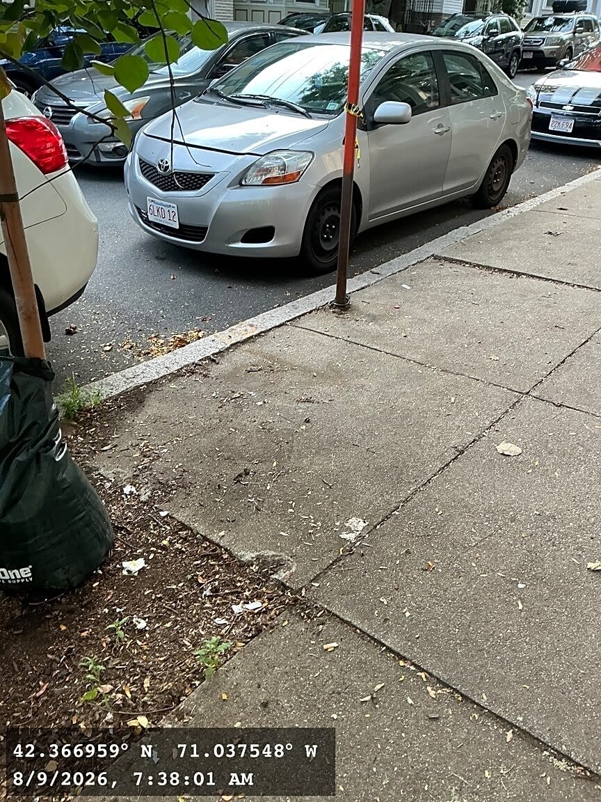 Image submitted with report