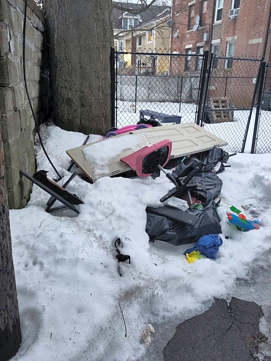 Image submitted with report