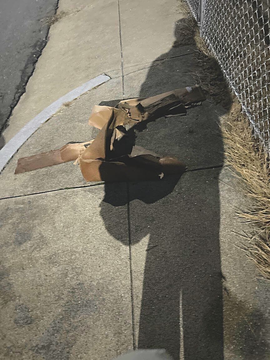 Image submitted with report