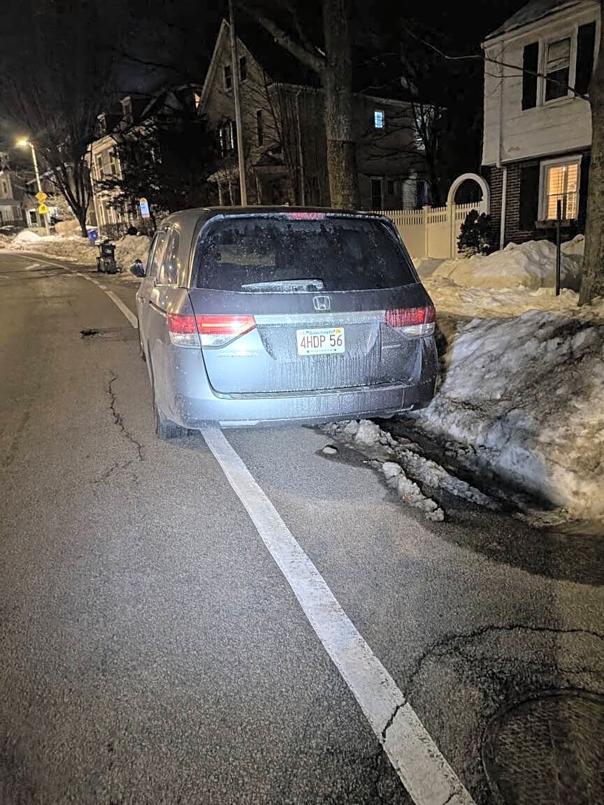 Image submitted with report