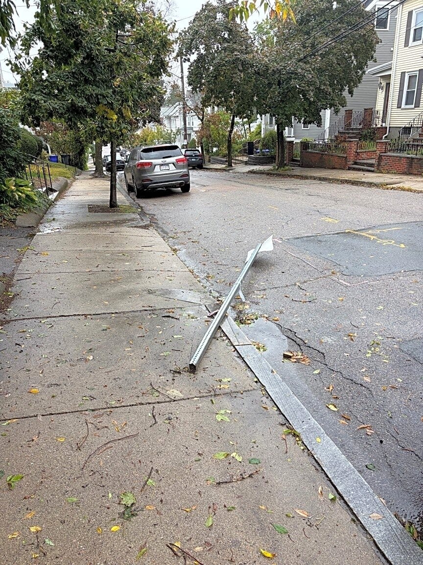 Image submitted with report