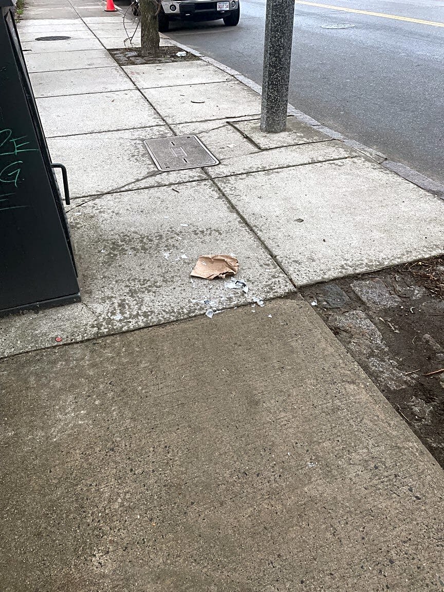 Image submitted with report