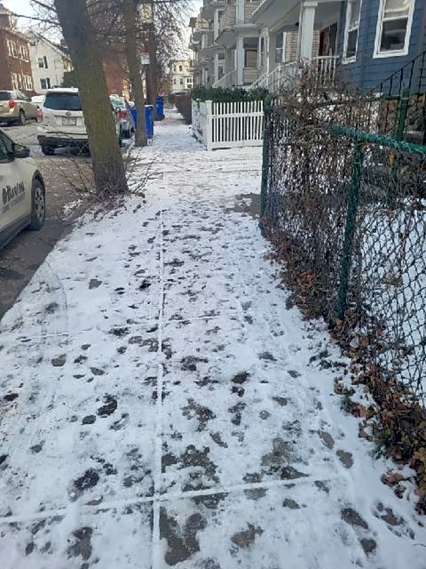 Image submitted with report