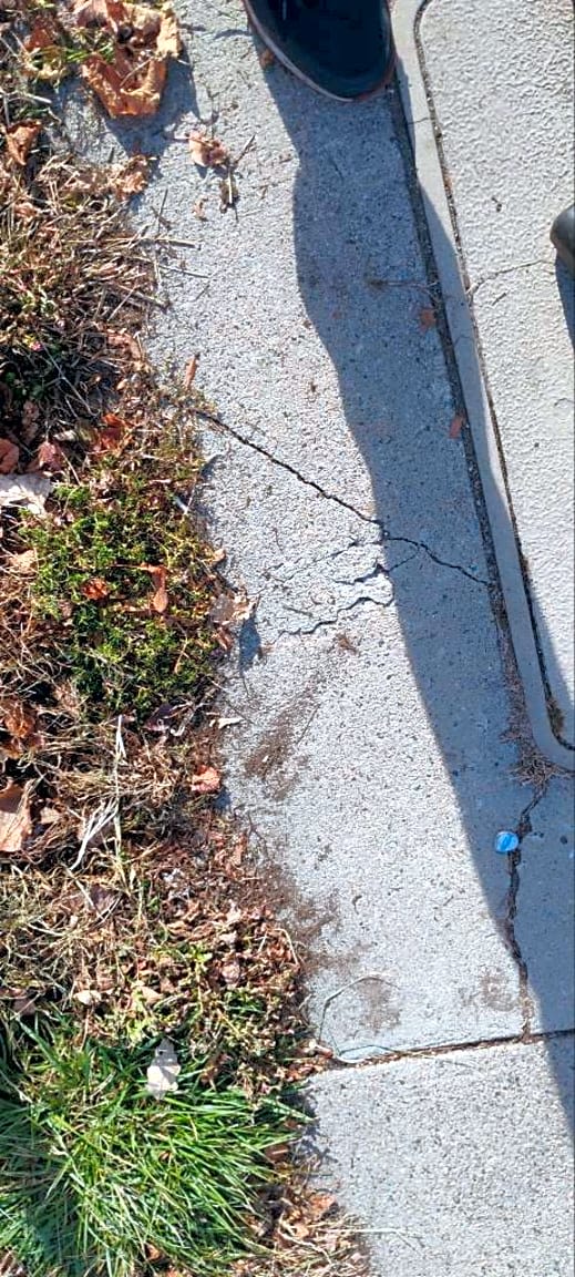 Image submitted with report