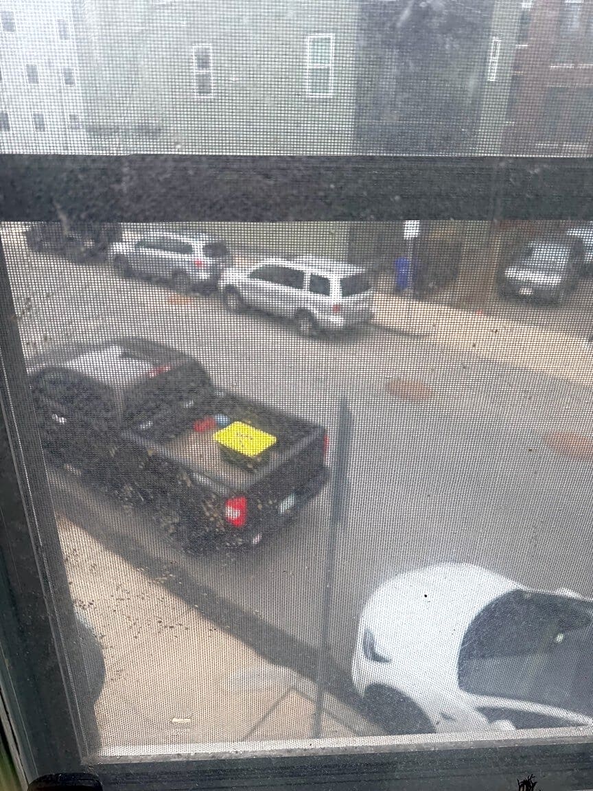 Image submitted with report