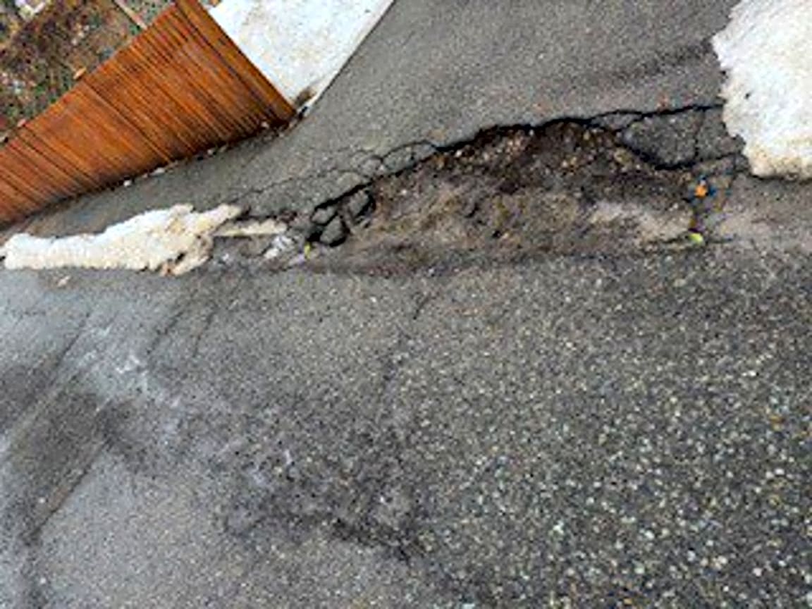 Image submitted with report