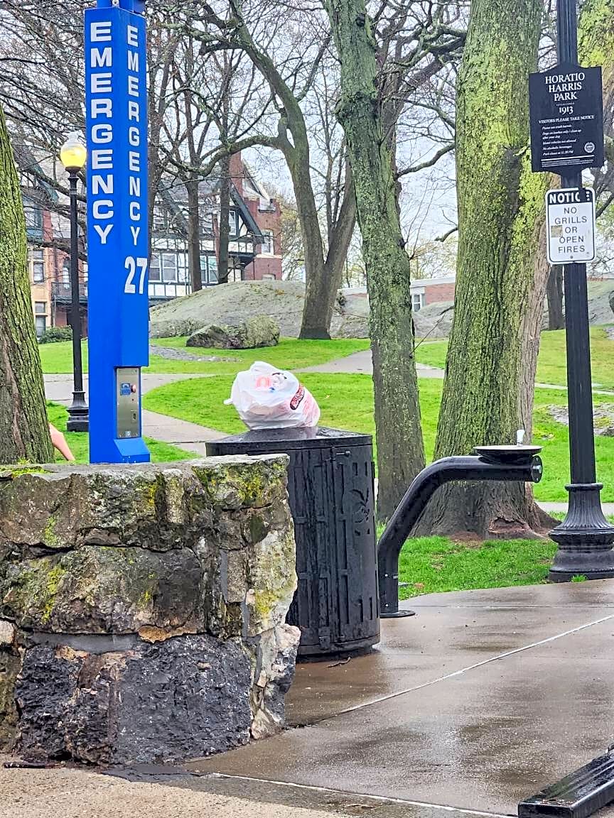 Image submitted with report