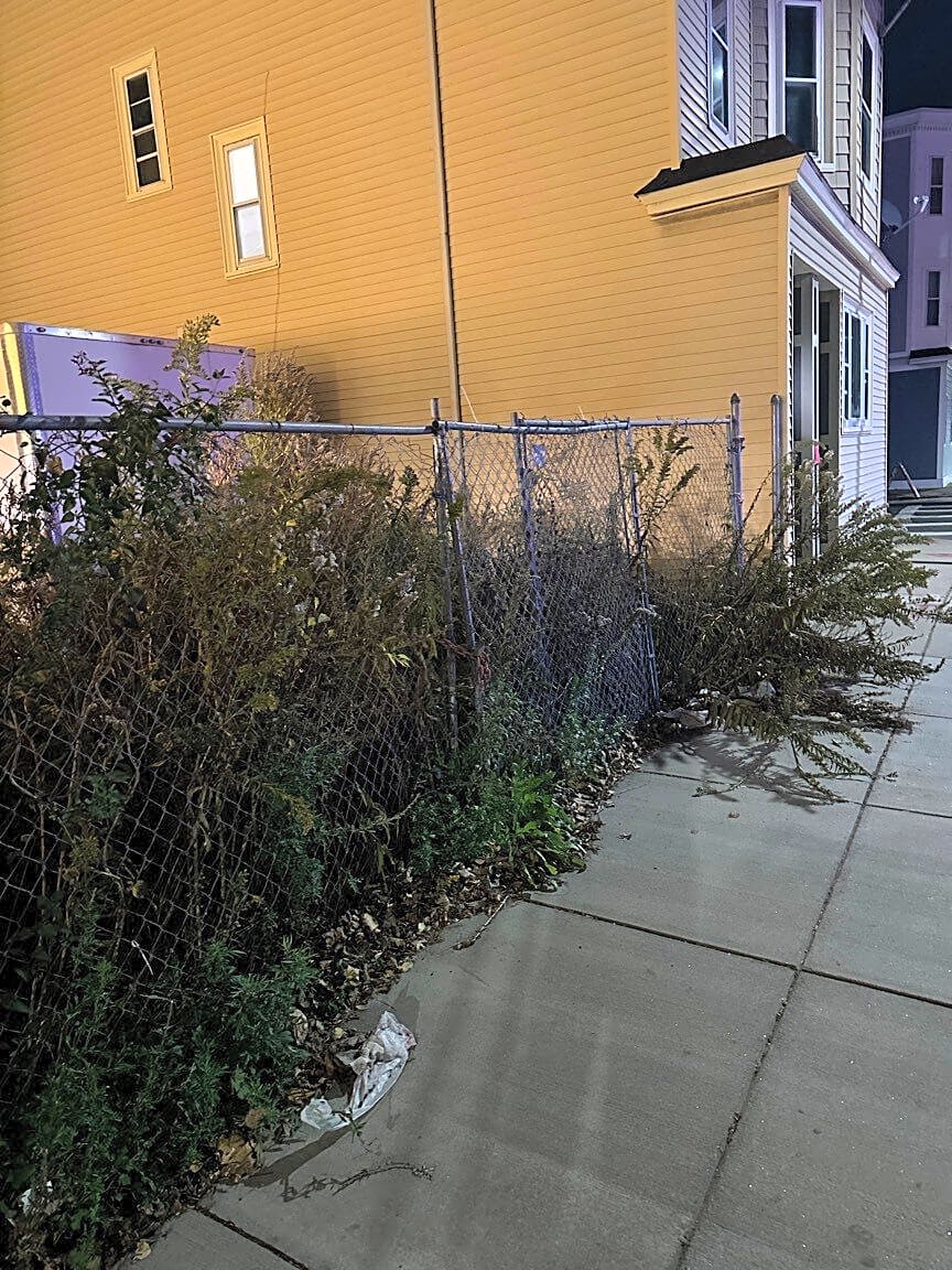 Image submitted with report